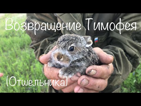 Видео: Возвращение Тимофея (Отшельника) (30 лет одиночества ) ( 13 серия )