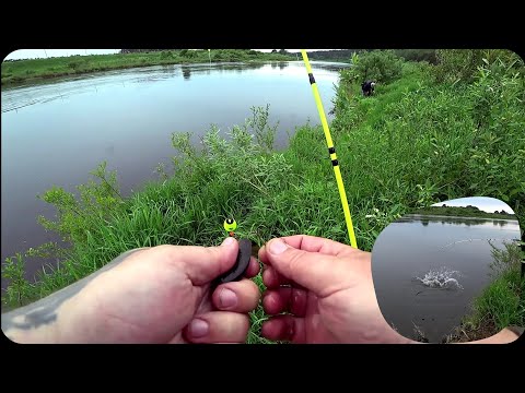 Видео: ЛОВЛЯ ЩУКИ НА ПОПЛАВОК С БЕРЕГА,рыбалка на живца,2 вида оснастки.