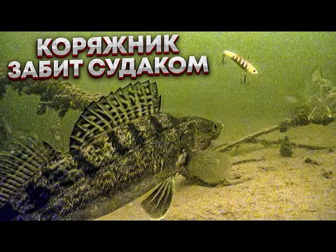 Видео: ГЛУХОЙ коряжник ЗАБИТ рыбой / ВОЛШЕБНАЯ лунка, СУДАКИ и ЩУКИ только опустишь ПРИМАНКУ!!!