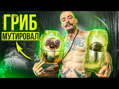 Видео: ПОСЛЕДНЕЕ ВИДЕО С ЧАЙНЫМ ГРИБОМ, ЕГО БОЛЬШЕ НЕТ...