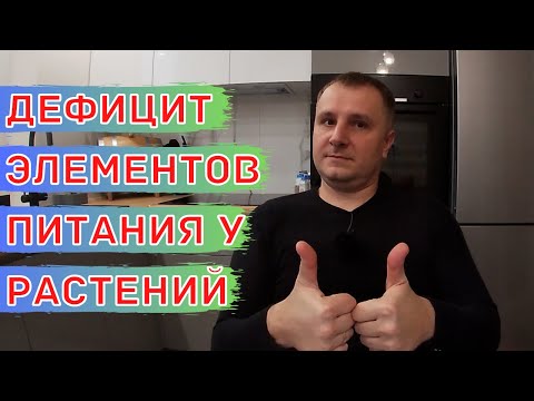 Видео: Основные причины нехватки элементов питания у растений. Минеральное питание растений. Анализ почвы.