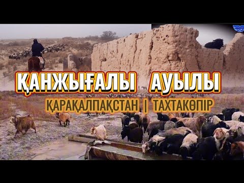 Видео: ҚАНЖЫҒАЛЫ АУЫЛЫ НЕ ҮШІН КӨШІП КЕТТІ? | ЖИДЕЛІКТЕГІ ШАРУАШЫЛЫҚ  |  ТАХТАКӨПІР 2024