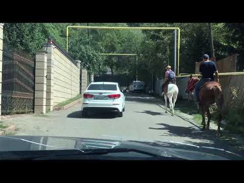 Видео: Дорога вдоль реки Казачка. Kazakhstan. Almaty. The roads . Алматы.