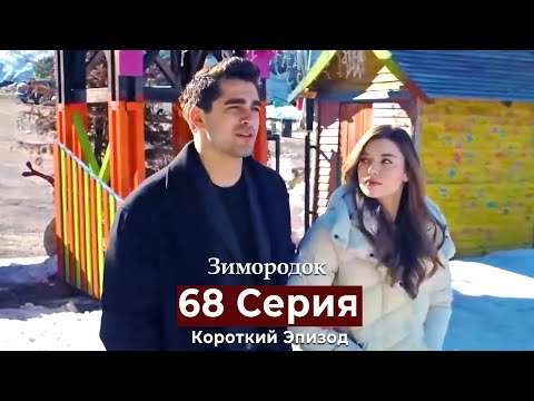 Видео: Зимородок 68 Cерия (Короткий Эпизод) (Русский дубляж)