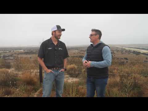 Видео: Это крупнейшая в Америке откормочная площадка для крупного рогатого скота — посмотрите на нее с в...