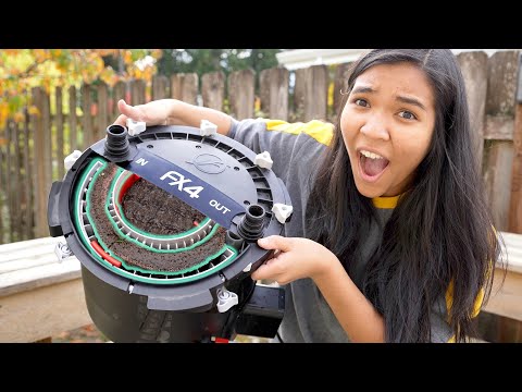 Видео: чистка моего фильтра-канистры Fluval FX4 впервые за МЕСЯЦЫ