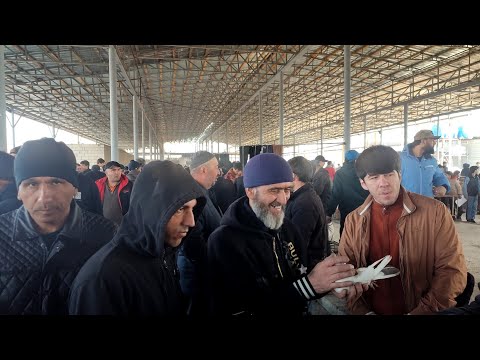 Видео: ринок г Душанбе Рудаки Ленинский район 24.02.25год подпишис брат