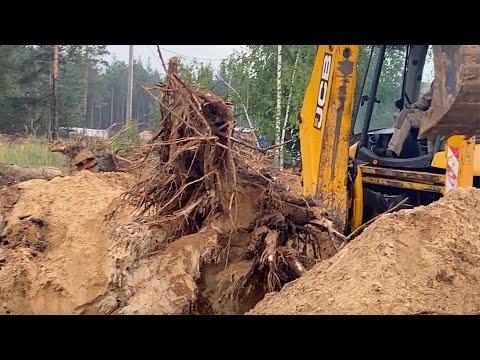 Видео: Огромный пень не хотел покидать участок .Трактор JCB.