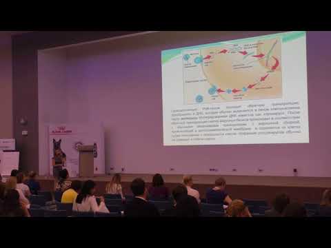 Видео: Вирусная лейкемия кошек (часть 1). Лекция Надежды Рахманиной. Часть 1