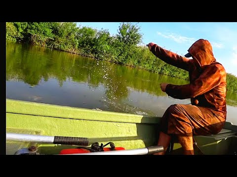 Видео: ОДИН ЗА ОДНИМ! СОМИНЫЙ ЖОР НА МИДИИ. Рыбалка С ночёвкой в бункере. Квок на Перловицу