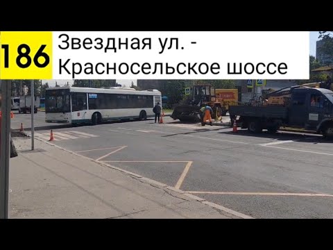 Видео: Автобус 186. Звездная ул. - Красносельское шоссе