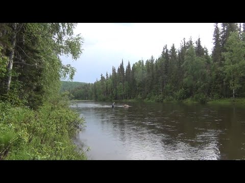 Видео: 11 Рыбалка в тайге Сибири Жили 10 дней наУгодьях Медведя Ловля хариуса Дрон нашел Тунгусский Метеори