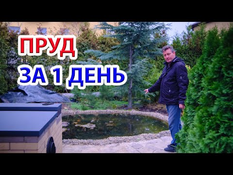 Видео: Пруд для нимфей за 1 день