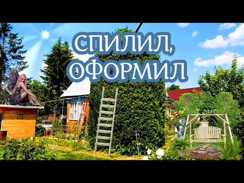 Видео: Обрезка большой туи.