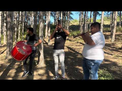 Видео: На пролет розите цъфтяха зурни