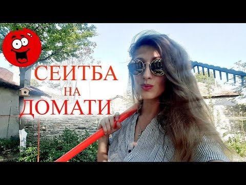 Видео: Сеитба На Домати/Ася Енева/Planting Tomatos/Asya Eneva