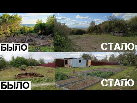 Видео: 🍂Обзор осеннего участка.🍁
