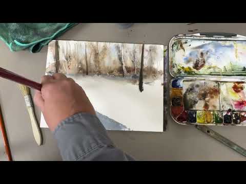 Видео: Зимняя сцена на замерзшей реке