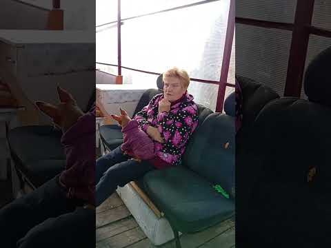 Видео: Продолжаем уборку.