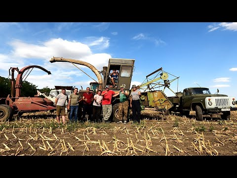 Видео: Уборка кукурузы на силос завершена! Спасибо всем за просмотры, ну и мы не скучали!