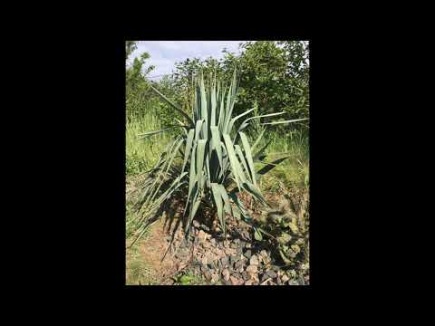 Видео: 2 роки без саду