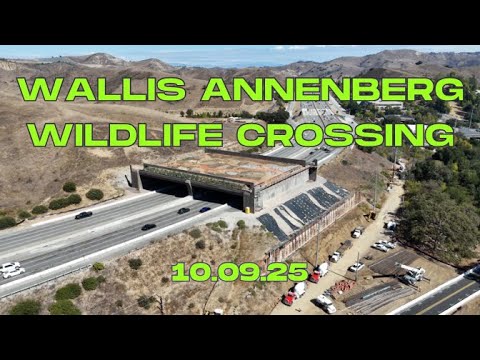 Видео: Обновление для пешеходного перехода Уоллис Анненберг (10.09.25)