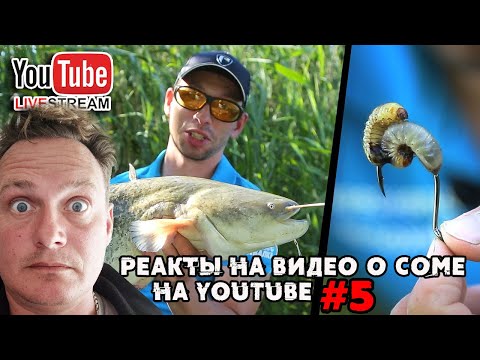 Видео: Как там с сомом на ютубе? | Виталий Дальке - Реакты в прямом эфире  5