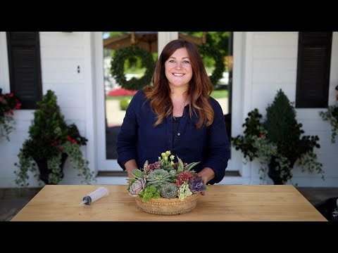 Видео: Как создать высокую композицию из суккулентов! 🌱🥰💚// Garden Answer