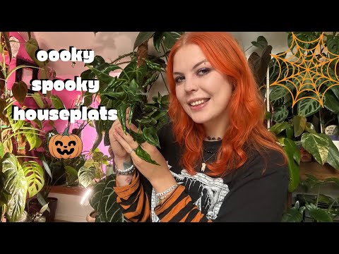 Видео: Комнатные растения, которые создадут жуткое настроение 💀🎃👻