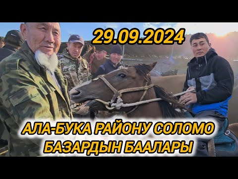 Видео: Ала-Бука району Соломо базардын бүгүнкү баалары 29.09.2024.