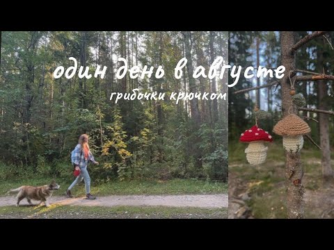 Видео: Один день из жизни в августе. Грибочки за 2 часа крючком. Розыгрыш.