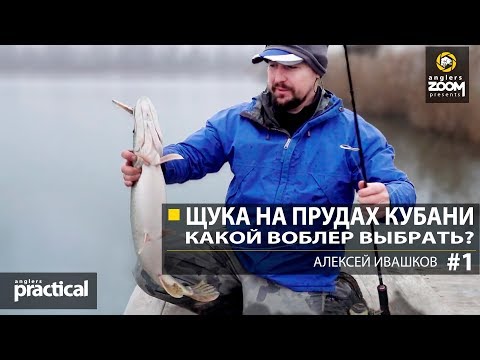 Видео: Щука на прудах Кубани. Какой выбрать воблер? Часть 1. А. Ивашков Anglers Practical