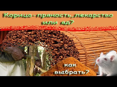 Видео: Корица - пряность, лекарство или яд ? В чем опасность. Как выбрать.