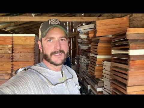 Видео: Без борьбы невозможно оценить успех — (Строительство пчеловодческого бизнеса, №104)