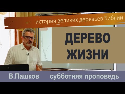 Видео: "Дерево Жизни" проповедь Пашков Василий