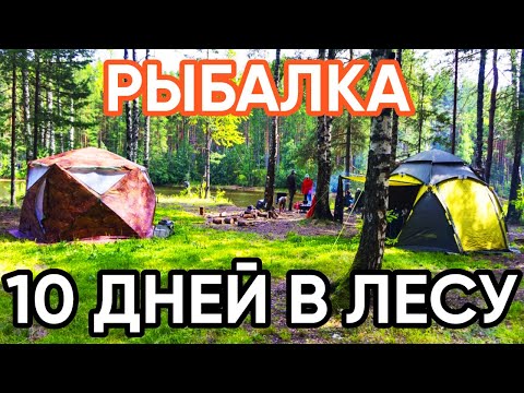 Видео: Клевая рыбалка с ночевкой! 10 дней в лесу! Сын поймал СОМА!  Отдых с палатками. Часть 4