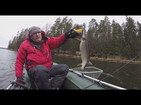 Видео: Китайский или японский воблер -  день Рудры