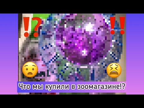 Видео: ПОКУПКИ ДЛЯ ХОМЯКОВ ИЗ ЗООМАГАЗИНА! КАРАНТИННЫЕ ПОКУПКИ ПЕРЕД ПРАЗДНИКАМИ!