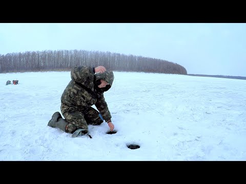 Видео: ВОТ ЭТО ПОКЛЁВКА!! Ловля на ВЕДЬМУ.Рыбалка на Оби.