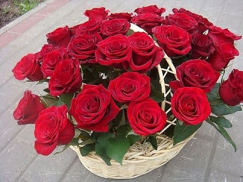 Видео: ОЧЕНЬ КРАСИВОЕ ПОЖЕЛАНИЕ   Я ДАРЮ ТЕБЕ ЦВЕТЫ !