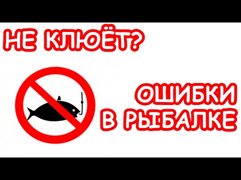 Видео: ОШИБКИ НОВИЧКОВ. ПОЧЕМУ НЕ КЛЮЁТ ЩУКА И ОКУНЬ. ЛОВЛЯ ЩУКИ И ОКУНЯ НА СПИННИНГ