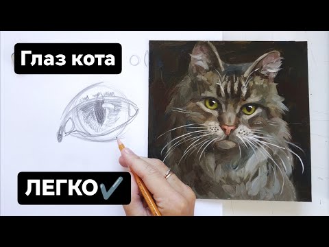 Видео: Как нарисовать глаза кошки поэтапно. Очень легкий способ