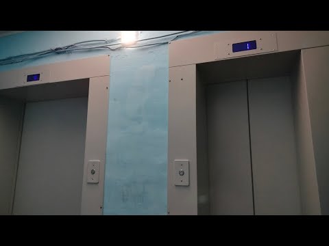 Видео: Лифты млм 2024 г.в г.о  Тольятти ул. Ворошилова 16 подъезд 2