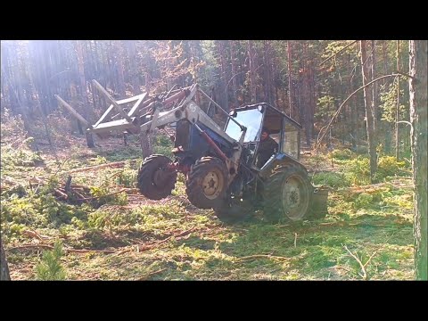 Видео: Тяжелая заготовка леса!Мтз на пределе!