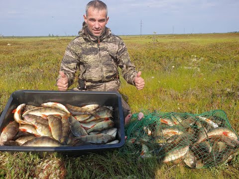 Видео: В ЭТОМ ОЗЕРЕ НЕВАЖНО КАКИЕ У ТЕБЯ СНАСТИ .ГЛАВНОЕ ЧТОБ В ВОДУ ЧТО ТО УПАЛО.РЫБАЛКА НА ЯМАЛЕ.