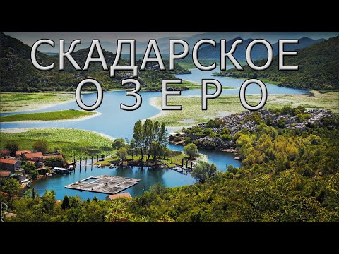 Видео: Скадарское озеро  - природная жемчужина Черногории.