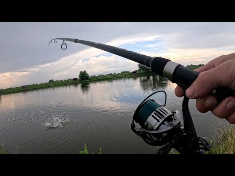 Видео: Ловля ТОЛСТОЛОБА и КАРПА в МОСКВЕ • Рыбалка 2025 на ПЛАТНИКЕ ЛАГУНА оз.Игумное/Еганово