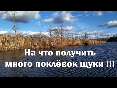 Видео: Рыбалка БЕЗ ЭХОЛОТА на ЩУКУ! Тонкости ловли щуки на мелком водоёме .На что получить много поклёвок