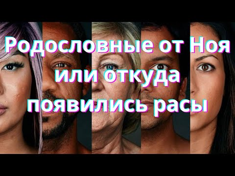 Видео: Родословные от Ноя или откуда появились расы - от Ноя до Авраама (#1)