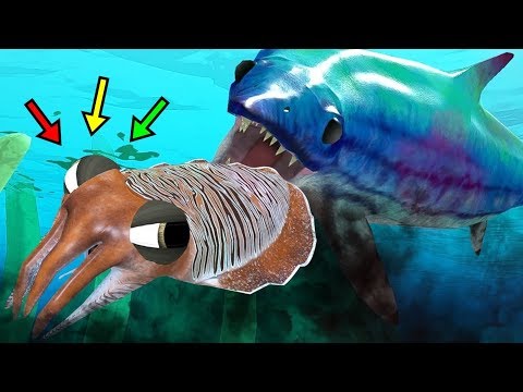 Видео: Шаян балық сатып алдым